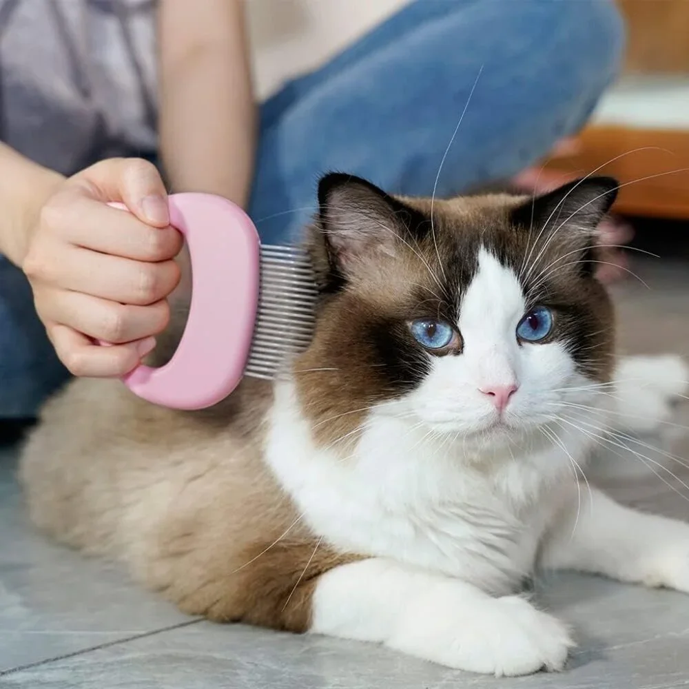 3-Pcs Pet Grooming Comb Set Cat Dog Hair Removal Brush Wear Multi-function Brush - Picture 2 of 12